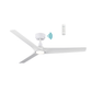 Cordoba DC Ceiling Fans with Light