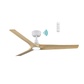 Cordoba DC Ceiling Fans with Light