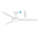 Newport DC Ceiling Fan with Light
