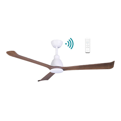 Polo DC Ceiling Fan