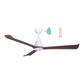 Polo DC Ceiling Fan