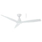 Triumph DC WIFI & Remote Control Ceiling Fan