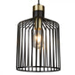 Maven Pendant Light