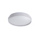 Leena LED Ceiling Light