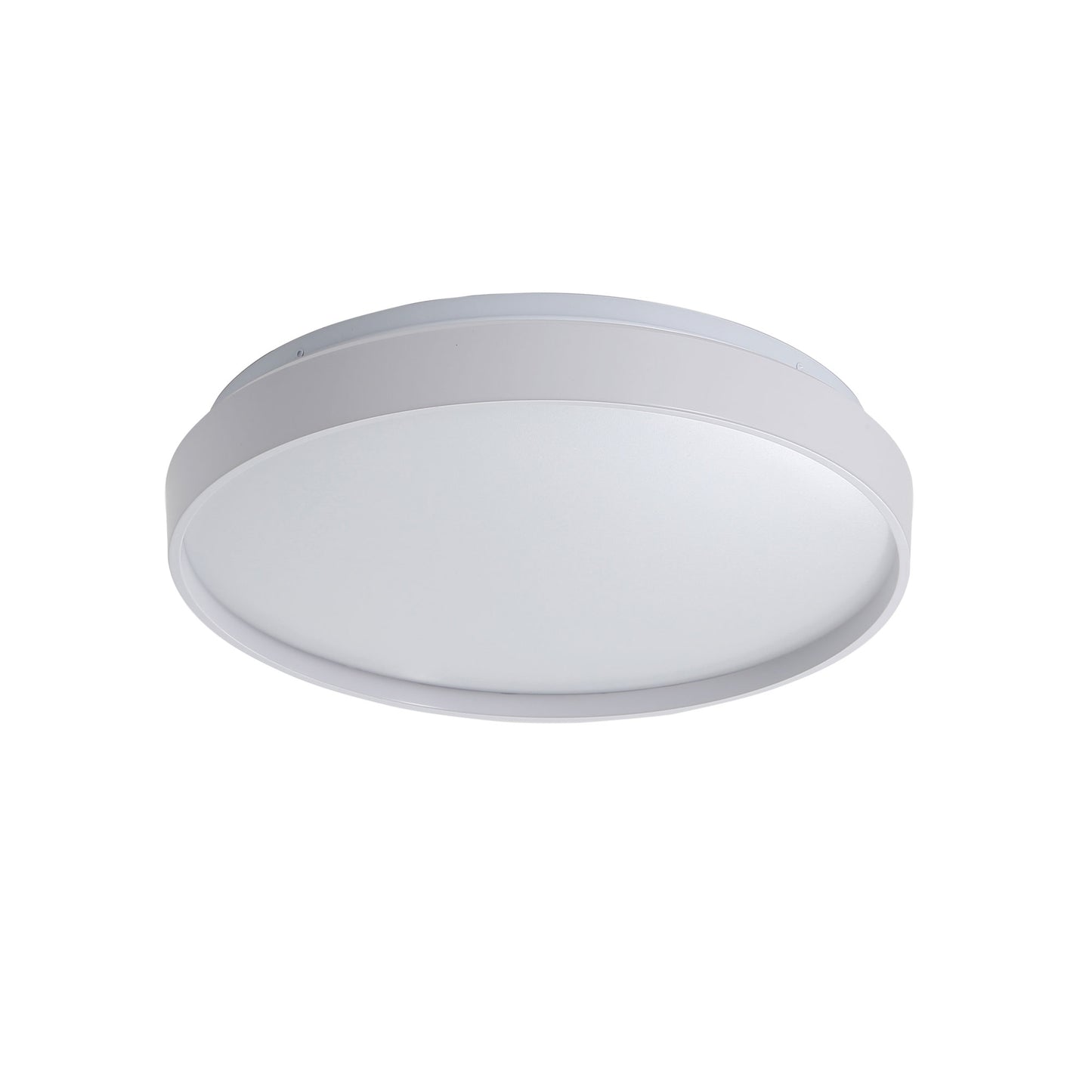 Leena LED Ceiling Light