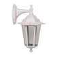 Ascot Outdoor Wall Light