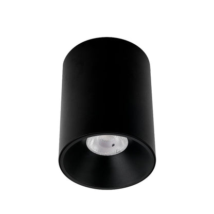 Oren Close to Ceiling Led
