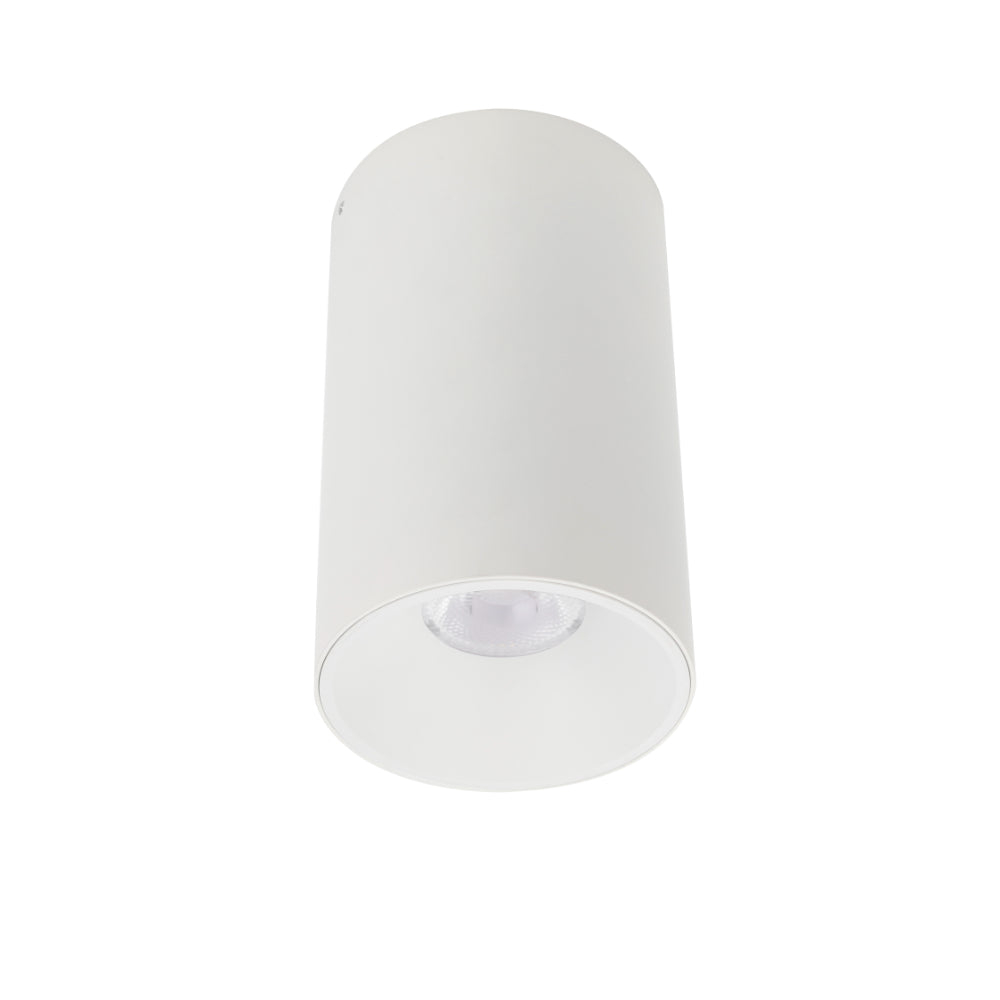 Oren Close to Ceiling Led