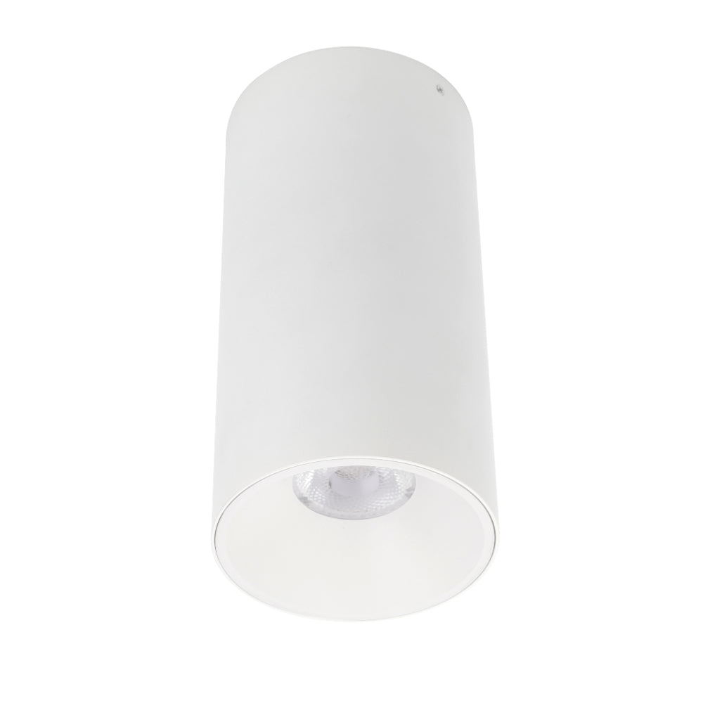 Oren Close to Ceiling Led