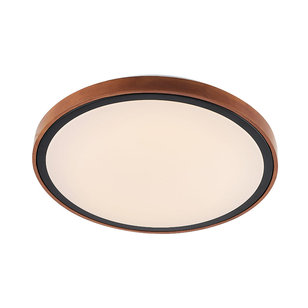 Orlin Led Oyster