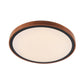 Orlin Led Oyster
