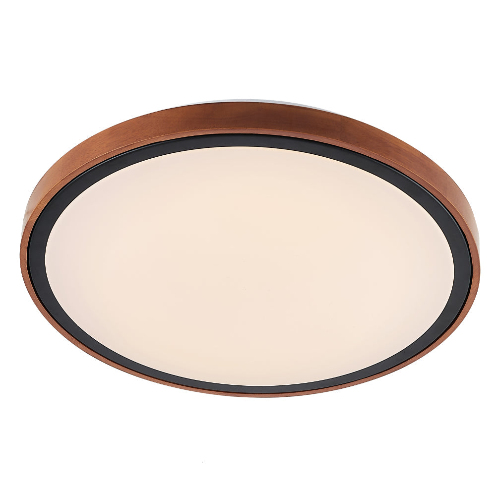 Orlin Led Oyster