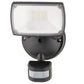 Onyx LED Security Floodlight