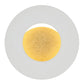 Pelzer 20 Wall Light