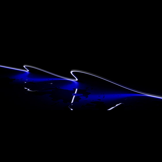 Pleo-Vivid-S Neon
