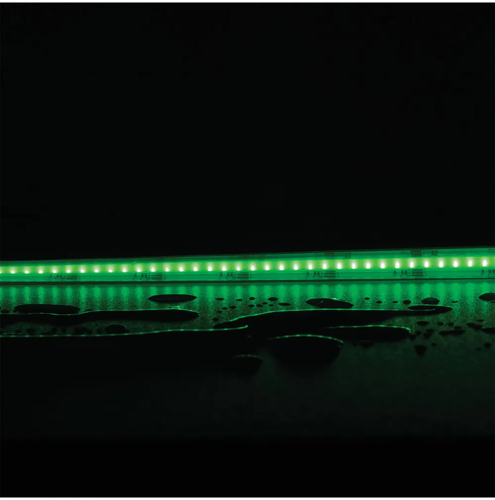 PLEX-RGB+TUNE/White P/M COB STRIP 24V840LED/M 50M PACK