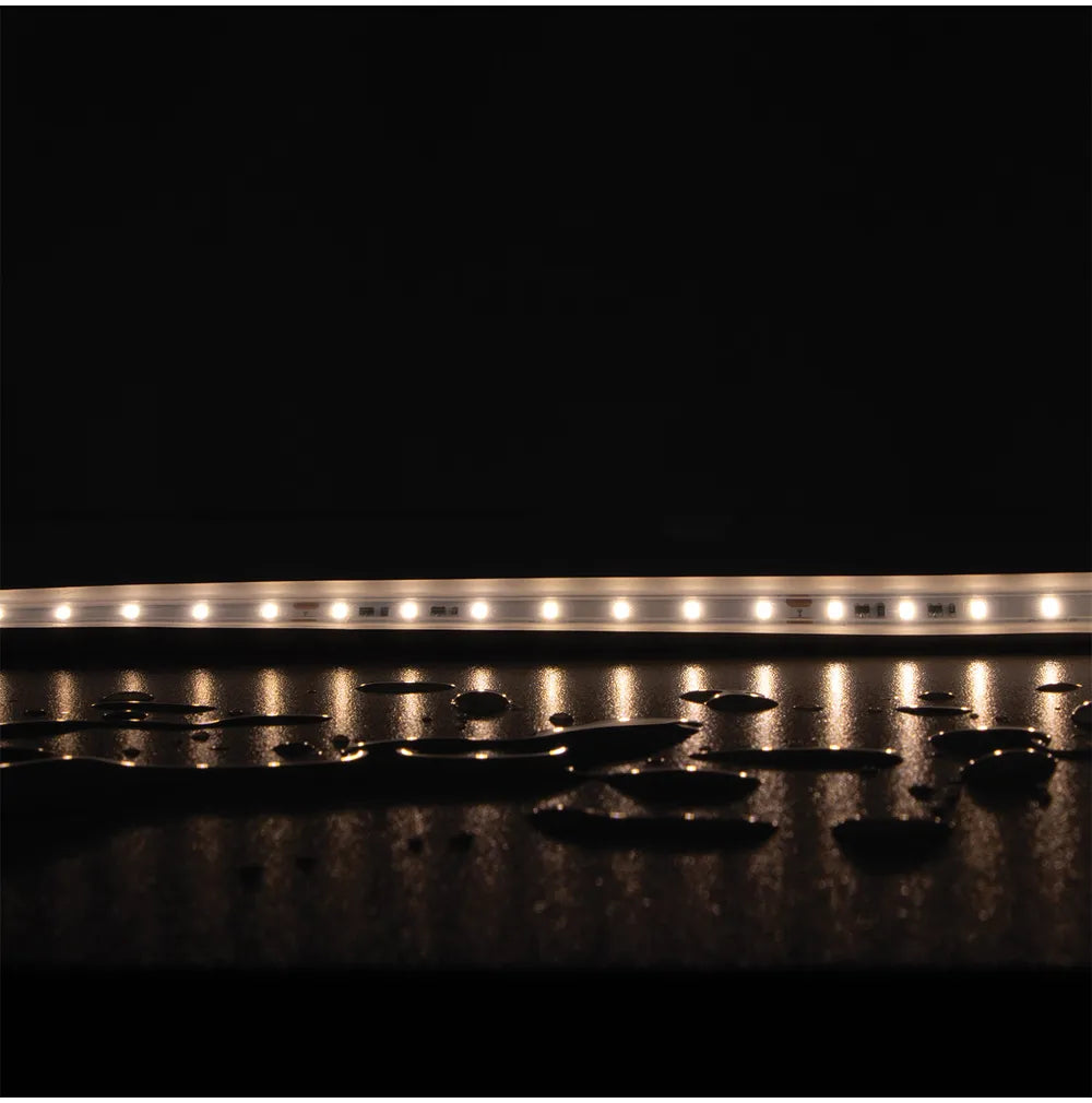 PLEX-SMD 5W P/M STRIP IP66 70LED/M 1M