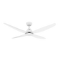 Augusta AC Ceiling Fans