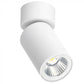 Silo Downlight / Spotlight