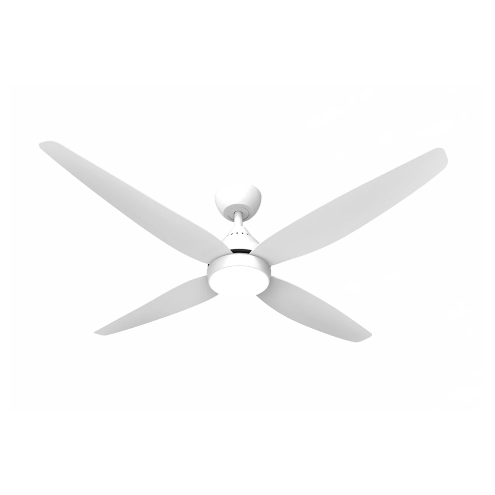 Forbes DC Ceiling Fans with Light