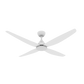 Forbes DC Ceiling Fans