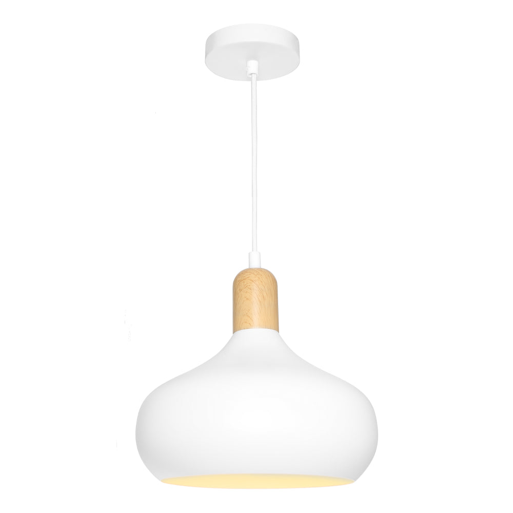 Sloan 1 Light Metal Pendant Light