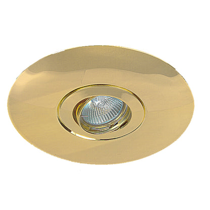 MR16 Tilt Large Flange Downlight