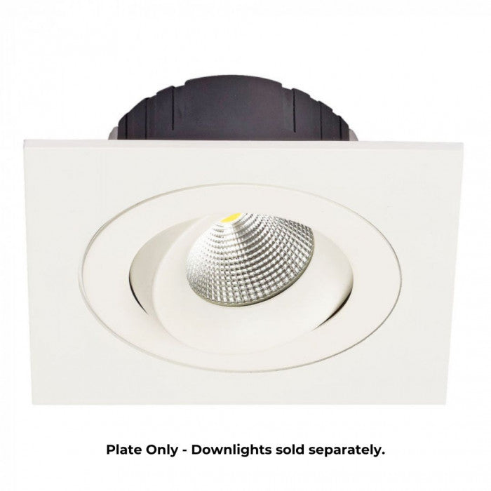 Single Plate for Multiform LED Downlights