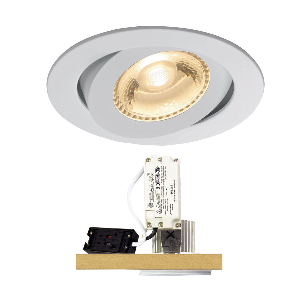 Nemo Adjustable LED Downlight