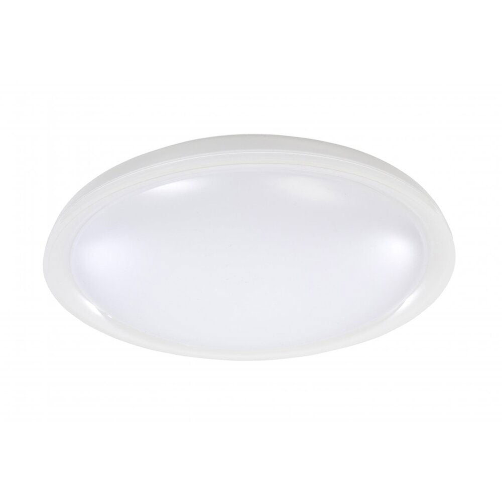 Moonlight 30W LED Oyster Light