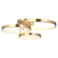 Zola 3 Light Ceiling Light