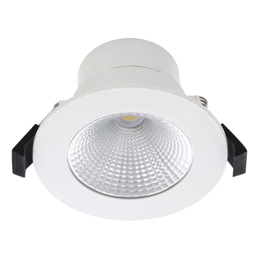 Roystar Downlight