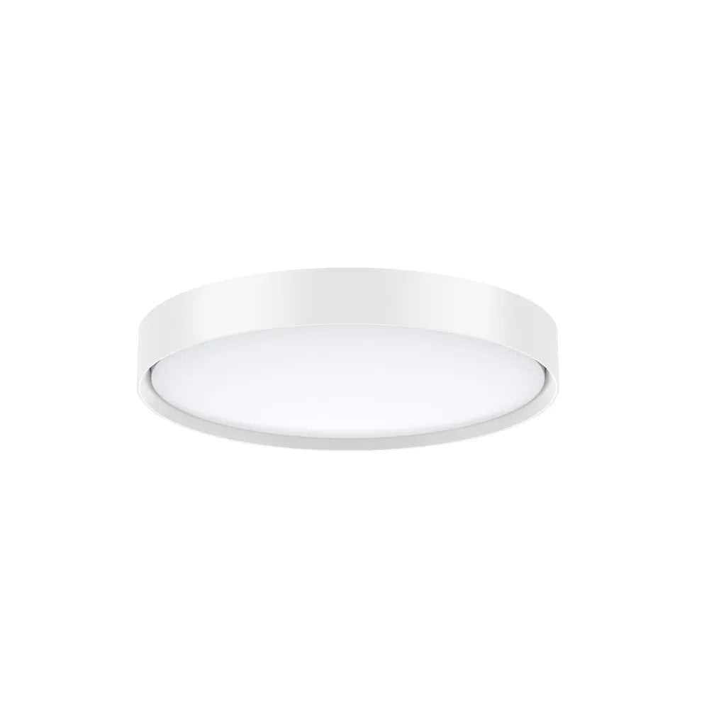 SAL LED OYSTER DECORD