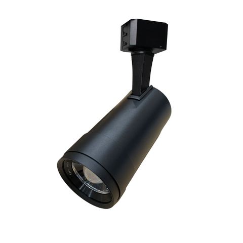 Zoom 10w LED
