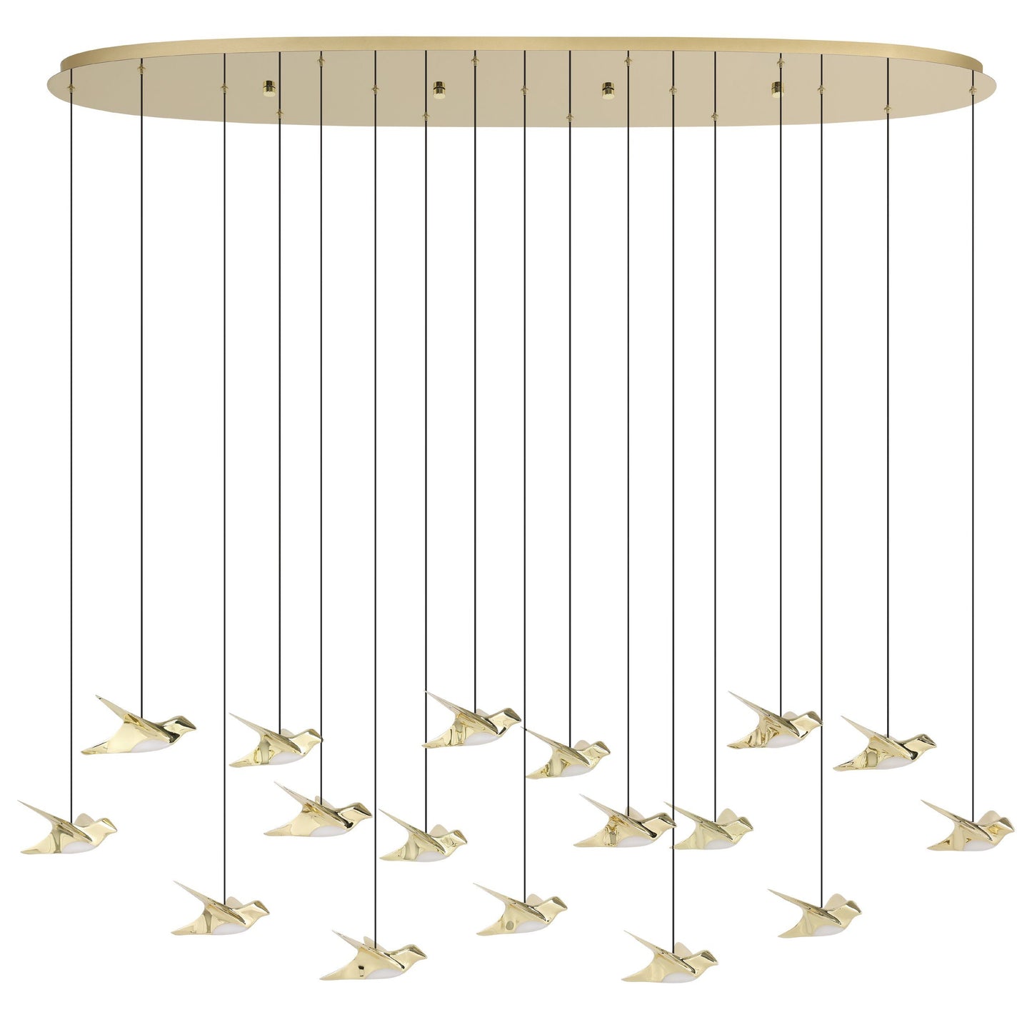 Paratebueno Pendant Light - 17 Lights Oblong