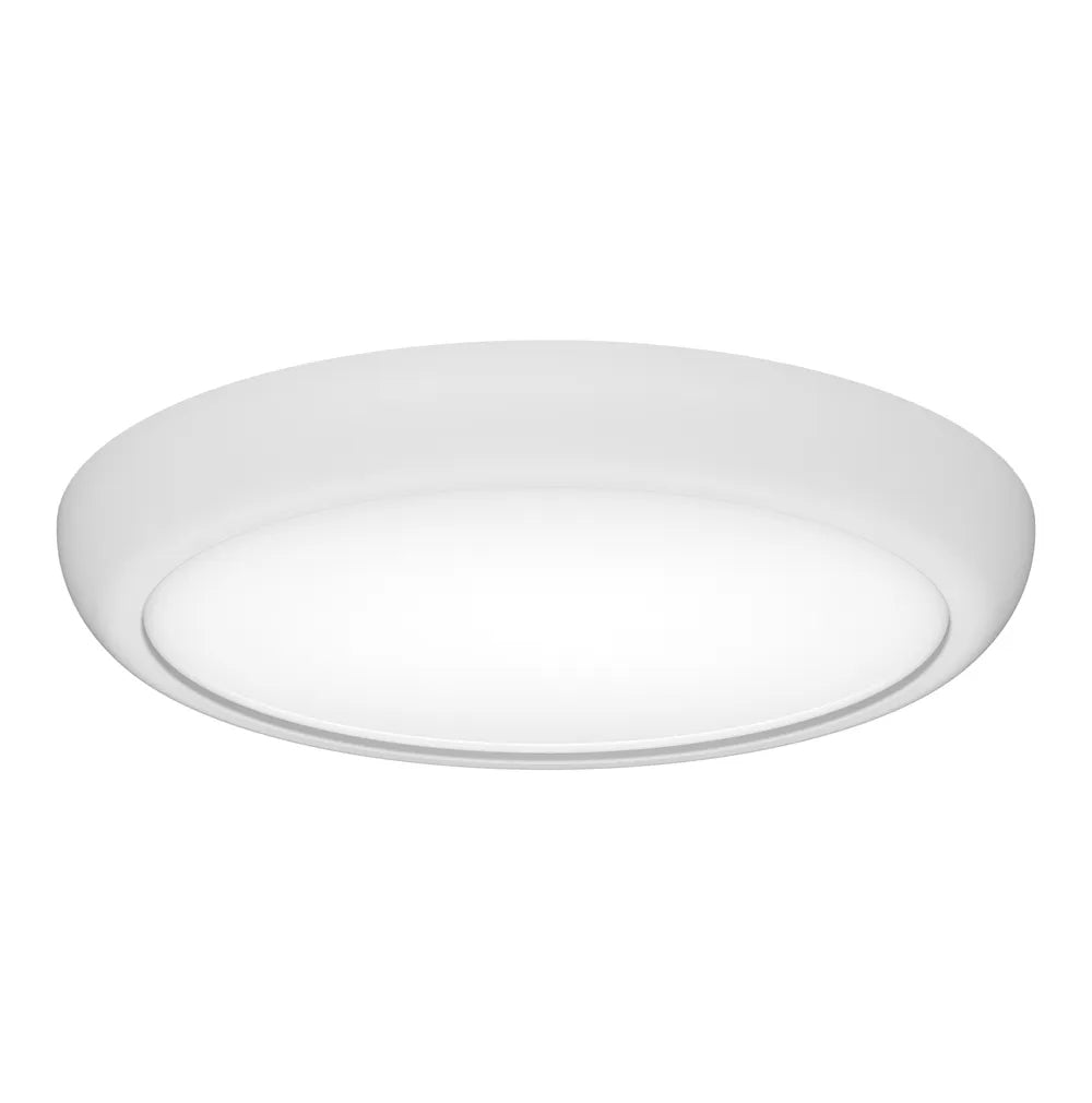 FRISBEE Oyster Light