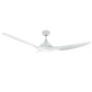 Raven RWS 64" DC Ceiling Fan