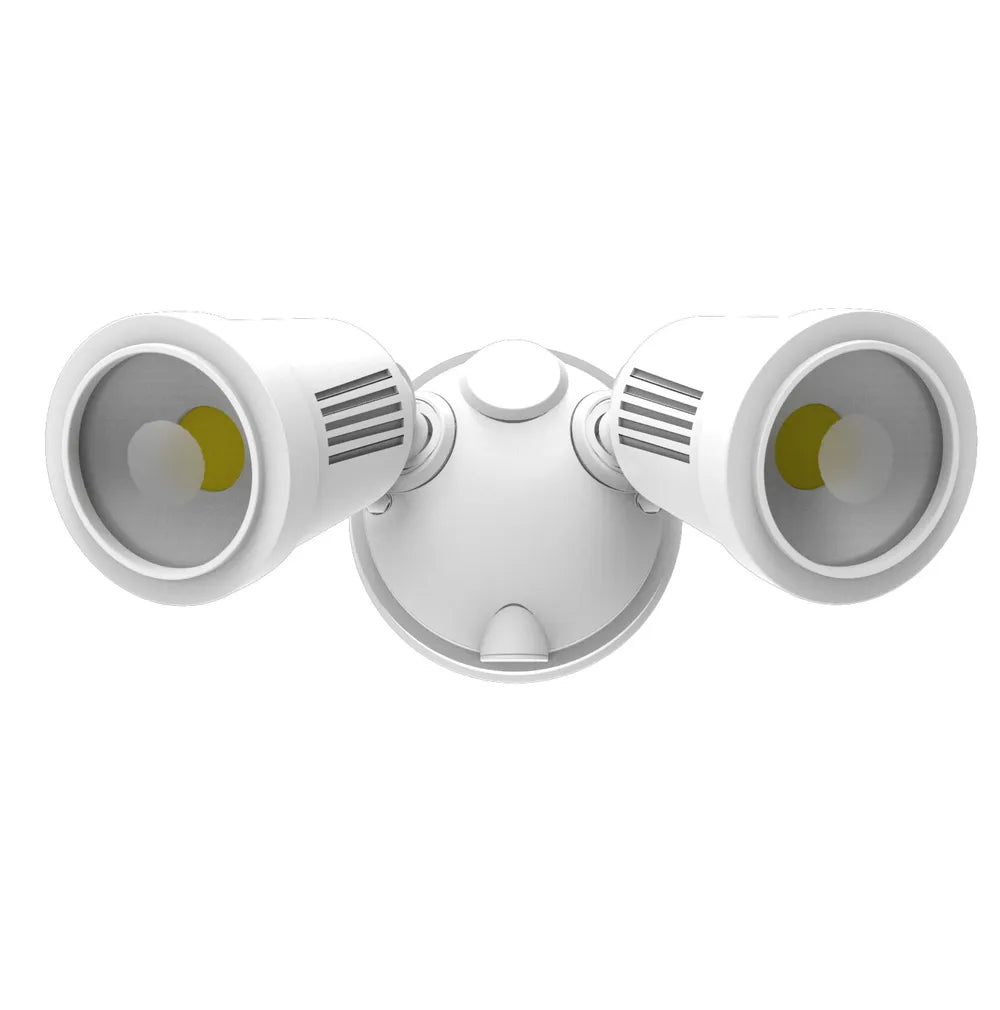 SAL STARGEM IV TWIN SPOT