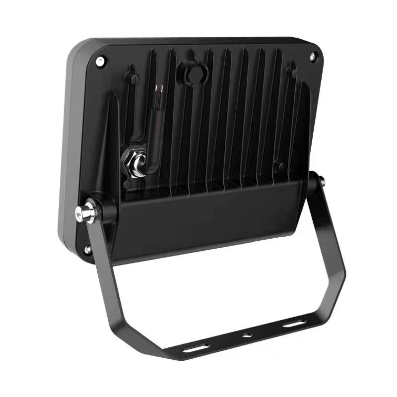 100w Floodlight