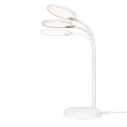 Laine 6w LED Adjustable Touch Desk Lamp