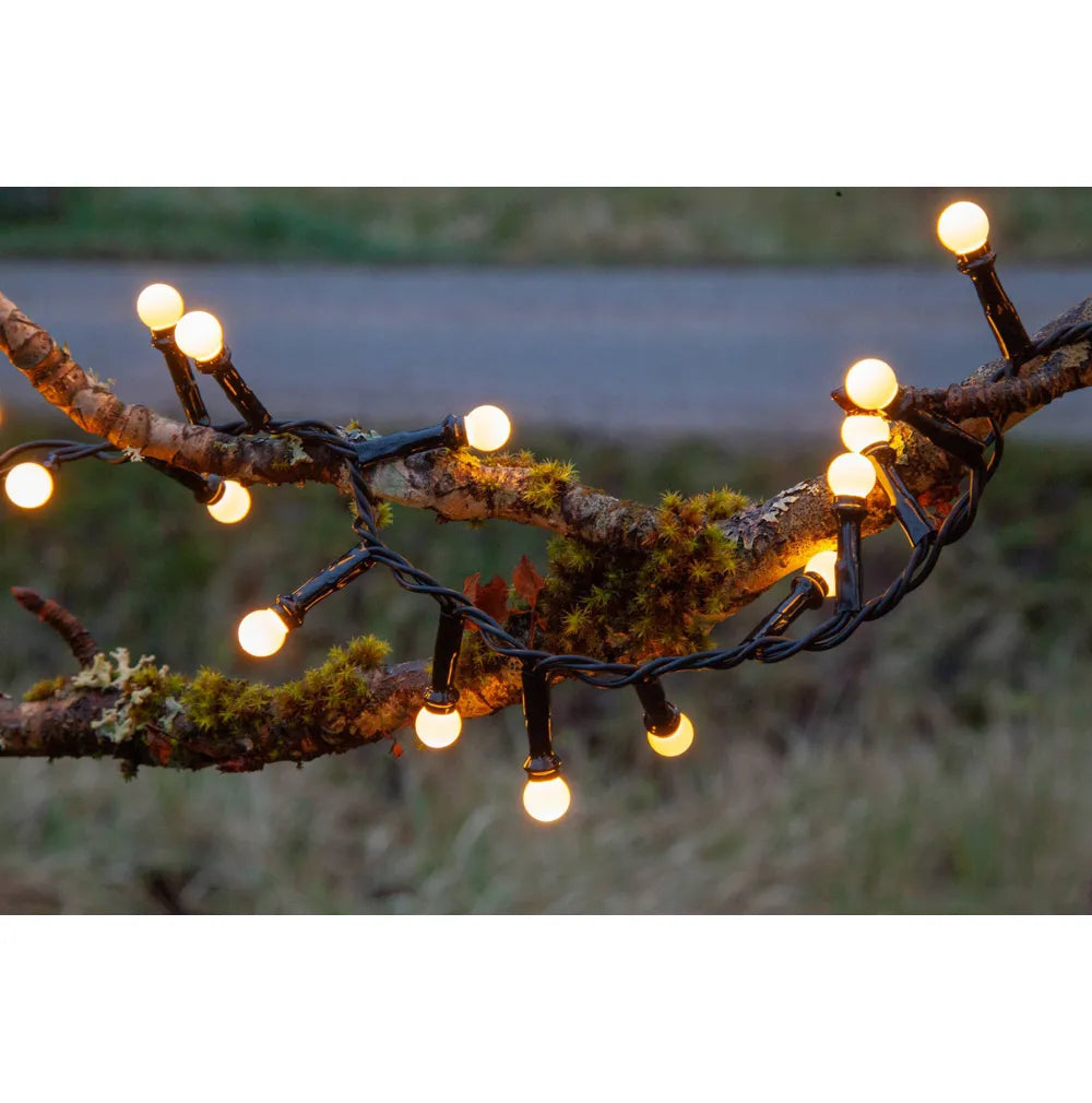 300 LED Berry Lights - Warm White - 6m