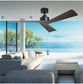 Bronte 52 DC Ceiling Fan