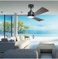 Bronte 52 DC Ceiling Fan with Light