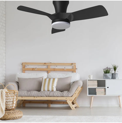 Kiwi 32 Ceiling Fan with Light