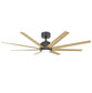 Titanic DC Ceiling Fan with Light