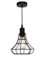 Cage Pendant - 1 Light Sm/Med/Lge