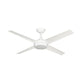 Concept Ceiling Fan