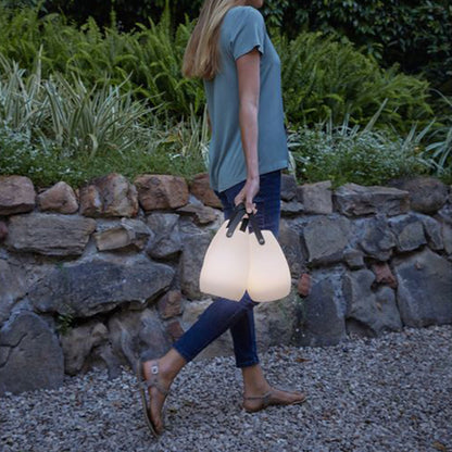 Led Table Lamp With Handle