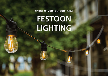 Festoon LED 12v 10 Light White Warm White Incl Driver Kit