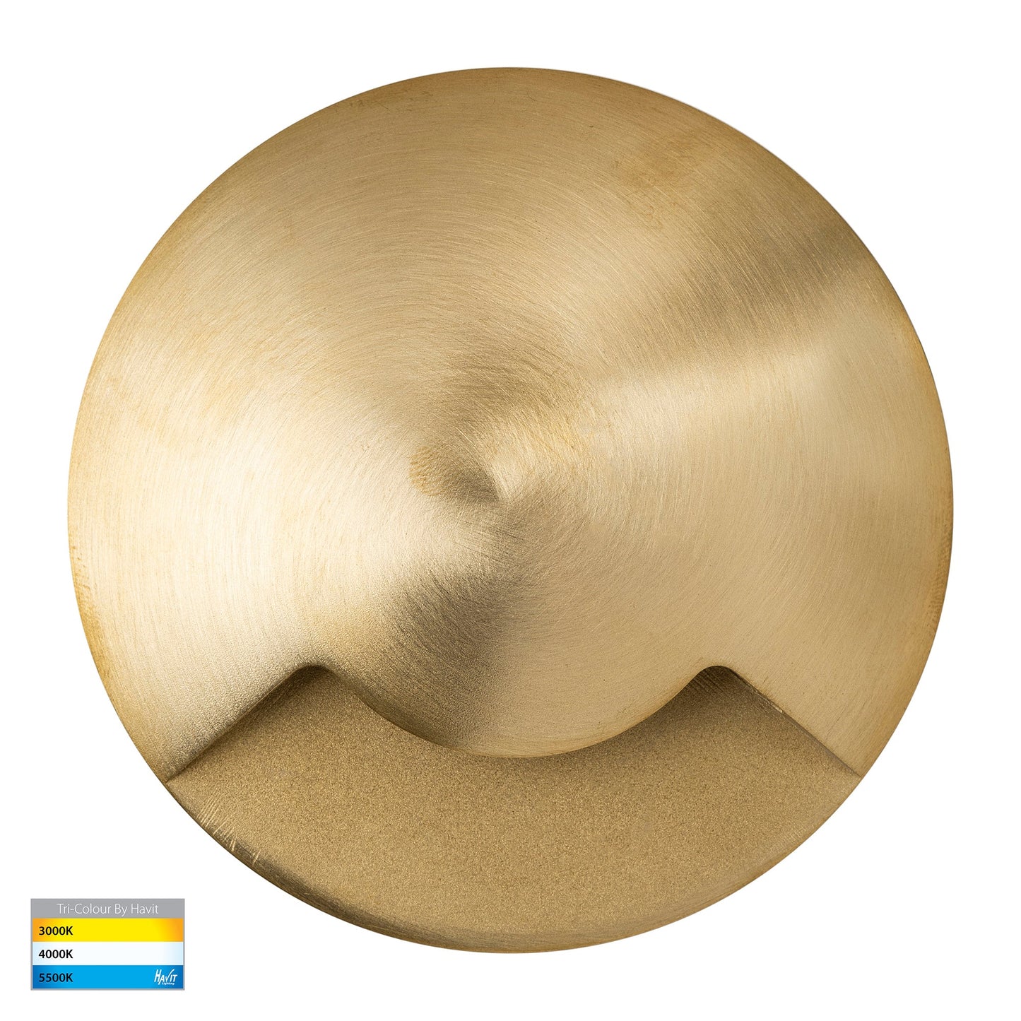 Single In-ground Path / Driveway Light Round 316 Stainless Steel + Brass Face